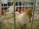 My pictures 077