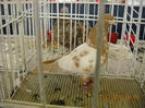 My pictures 085