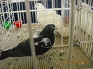 My pictures 087