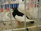 My pictures 088