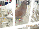 My pictures 089