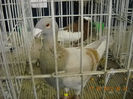 My pictures 103