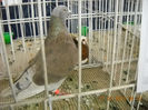 My pictures 104