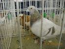 My pictures 105