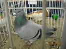 My pictures 106