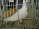 My pictures 108