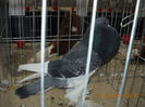 My pictures 112
