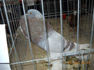 My pictures 113