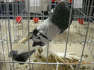My pictures 114
