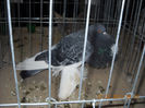 My pictures 115