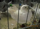My pictures 116