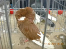 My pictures 124