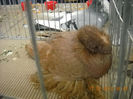 My pictures 125