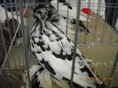My pictures 127