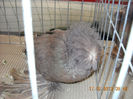 My pictures 128