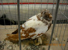 My pictures 129