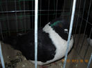 My pictures 134