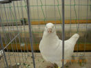 My pictures 137