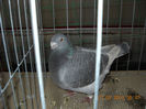 My pictures 139