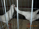 My pictures 140