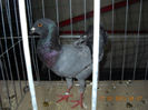 My pictures 141