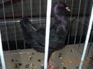 My pictures 142