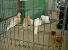 My pictures 144
