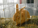 My pictures 147