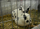 My pictures 149