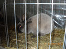 My pictures 151