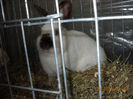 My pictures 152