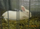 My pictures 153