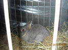 My pictures 154