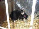 My pictures 155