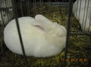 My pictures 156