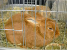 My pictures 157