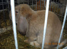 My pictures 160