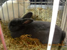 My pictures 165