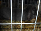 My pictures 170