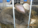 My pictures 171