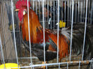My pictures 173