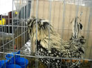 My pictures 175
