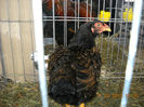 My pictures 177