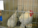 My pictures 178