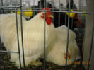 My pictures 182