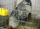 My pictures 185