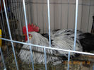 My pictures 188