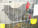 My pictures 189