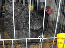 My pictures 194