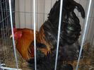 My pictures 205